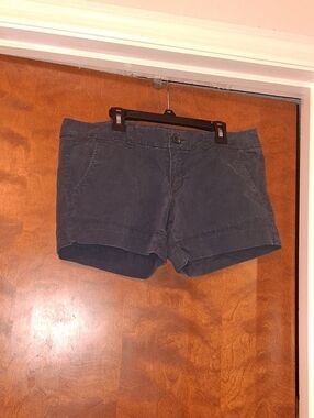 American Eagle Outfitters Dark Navy Cotton Shorts